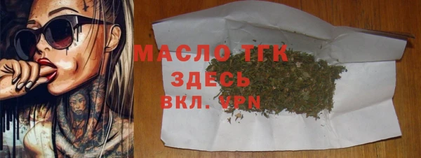 дживик Бородино