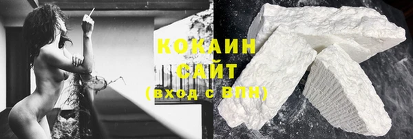 ГАЛЛЮЦИНОГЕННЫЕ ГРИБЫ Верея