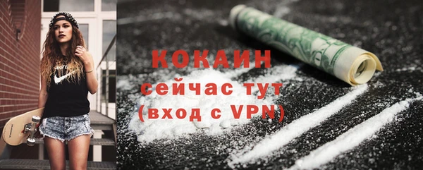 твердый Верхний Тагил