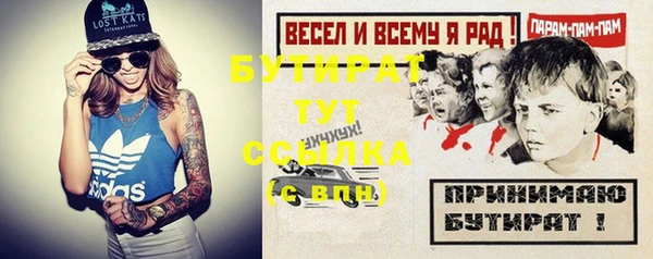 дживик Бородино
