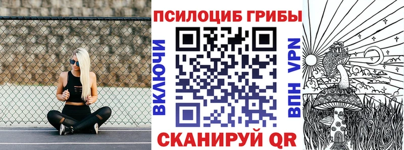 Купить закладки  Мичуринск  Псилоцибиновые грибы мицелий 