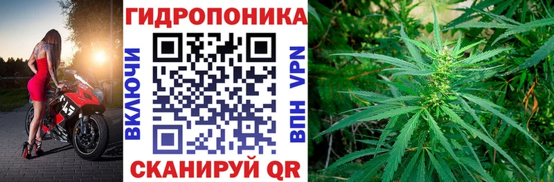 Бошки марихуана семена  Купить  Мичуринск 